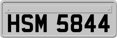 HSM5844
