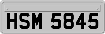 HSM5845