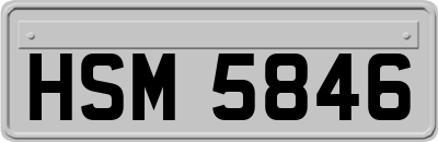 HSM5846