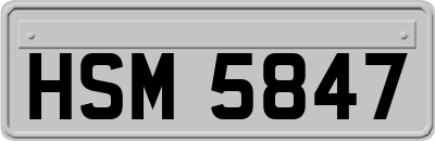 HSM5847