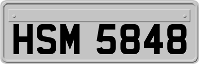 HSM5848