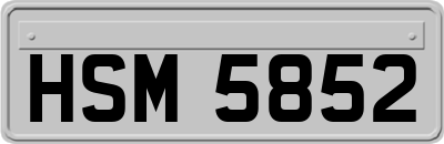 HSM5852