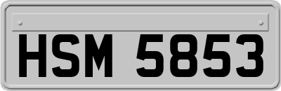 HSM5853