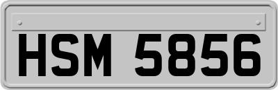 HSM5856