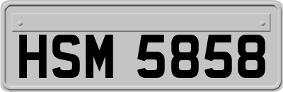 HSM5858