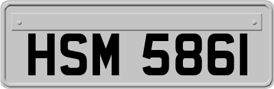 HSM5861