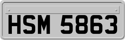 HSM5863