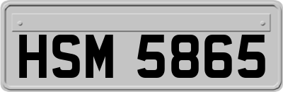 HSM5865