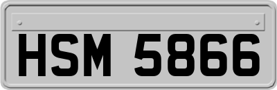 HSM5866