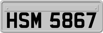 HSM5867