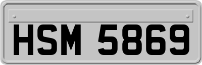 HSM5869