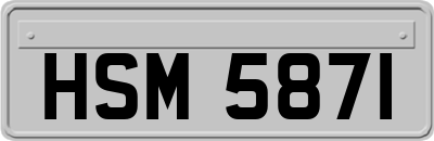 HSM5871