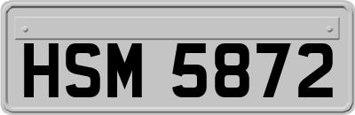 HSM5872