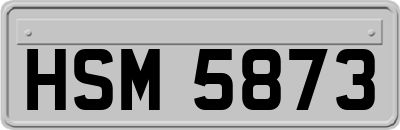 HSM5873