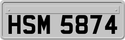 HSM5874