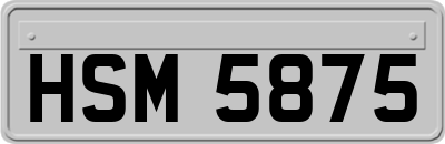 HSM5875