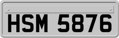 HSM5876