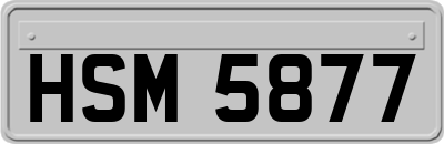 HSM5877
