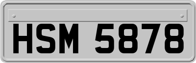 HSM5878