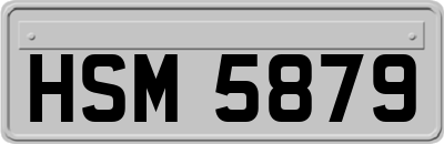HSM5879