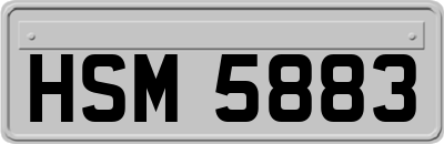 HSM5883