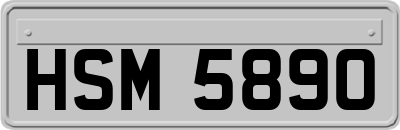 HSM5890