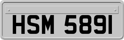 HSM5891