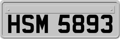 HSM5893