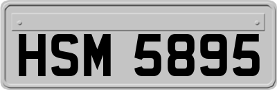 HSM5895