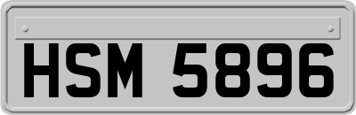 HSM5896