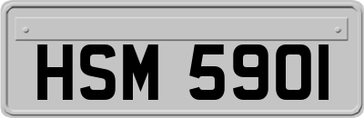 HSM5901