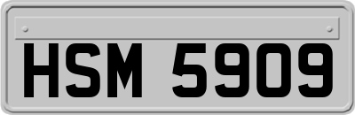 HSM5909