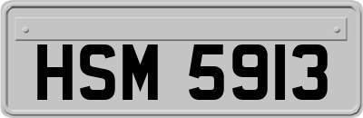 HSM5913