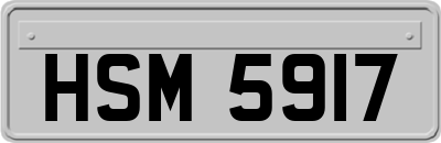HSM5917