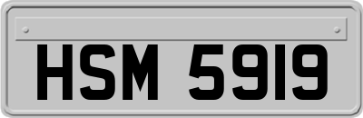 HSM5919