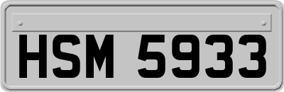 HSM5933