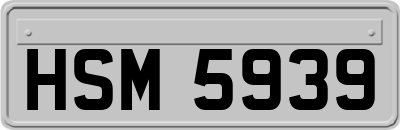 HSM5939