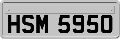 HSM5950