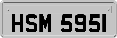 HSM5951
