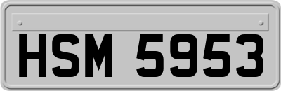 HSM5953