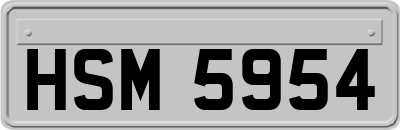 HSM5954