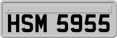 HSM5955