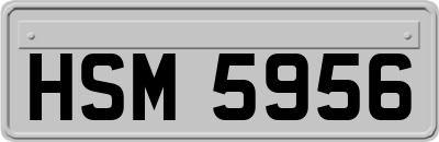 HSM5956