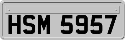 HSM5957