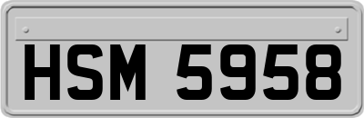 HSM5958