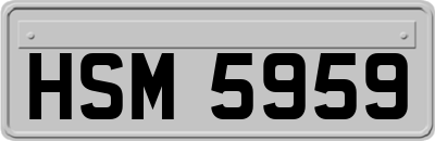 HSM5959