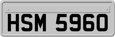 HSM5960