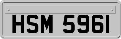 HSM5961