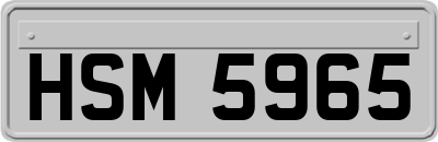 HSM5965