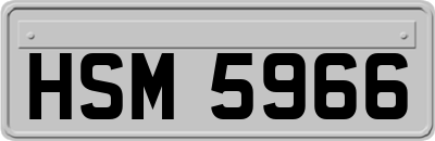 HSM5966